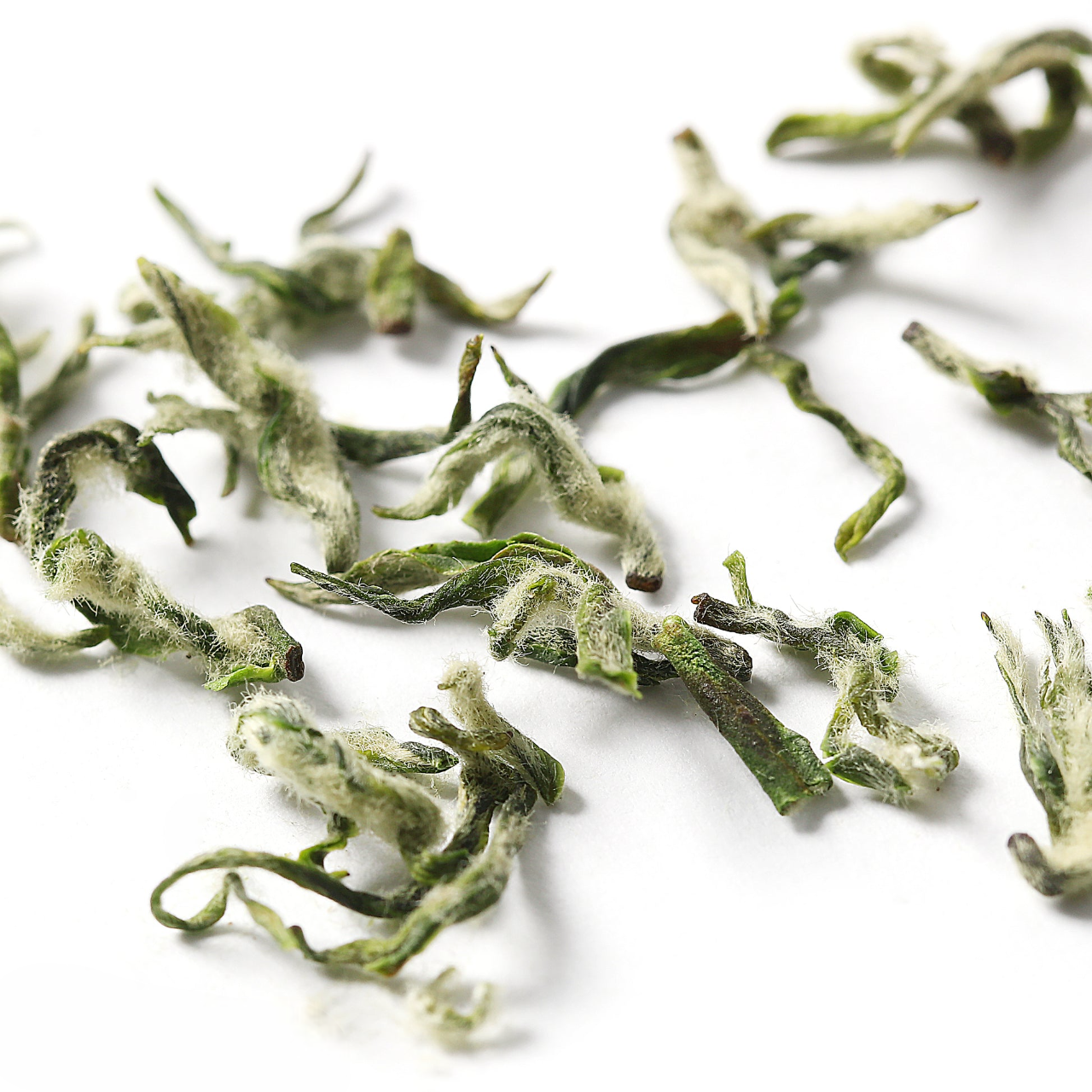 2024 Ming Qian Dong Ting Pi Lo Chun (Bi Lo Chun) Green Tea