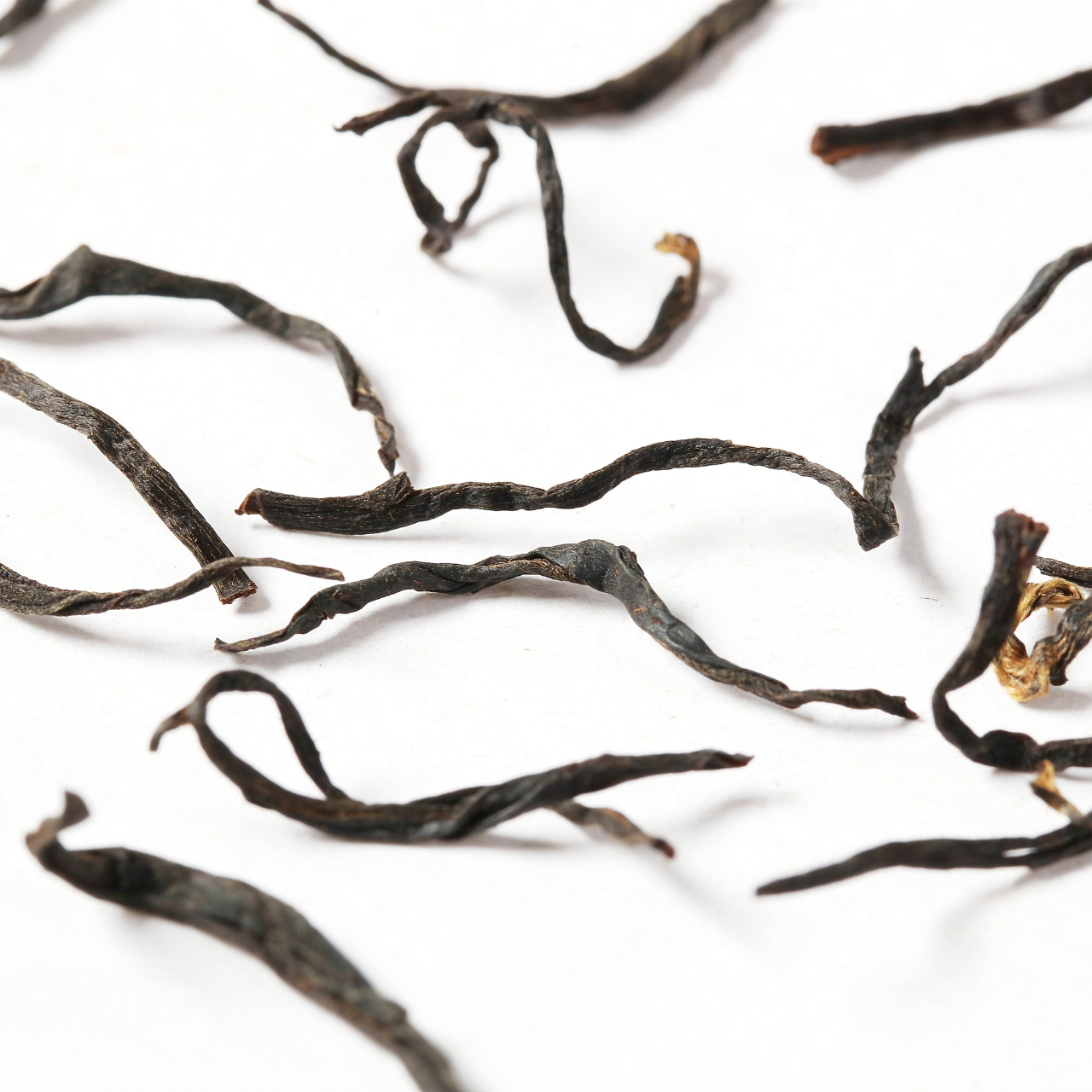 Lapsang Souchong | Classic Black Tea with a Smoky Charm